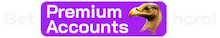 Premium Accounts