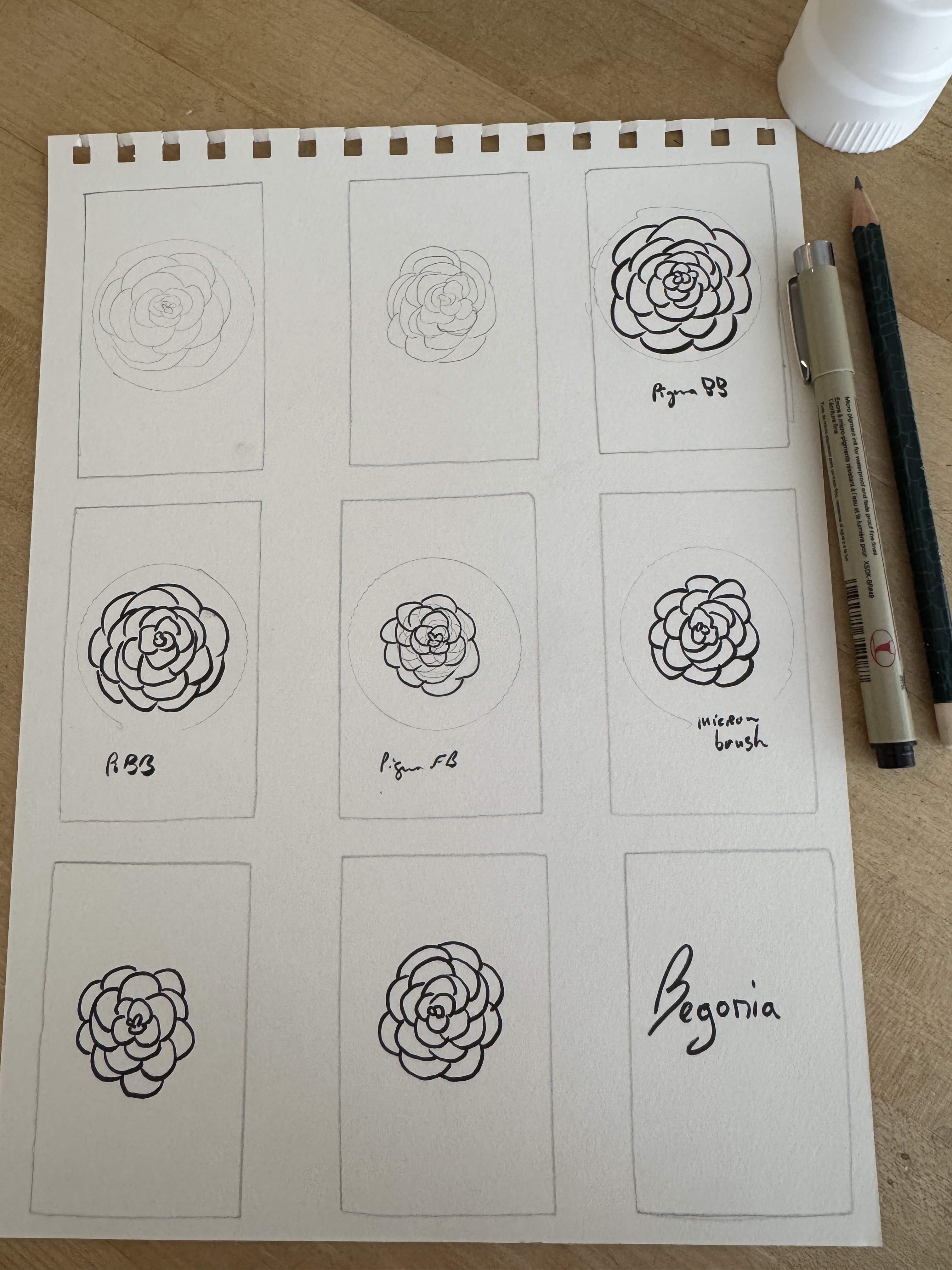 Practice sheet and final flower id…