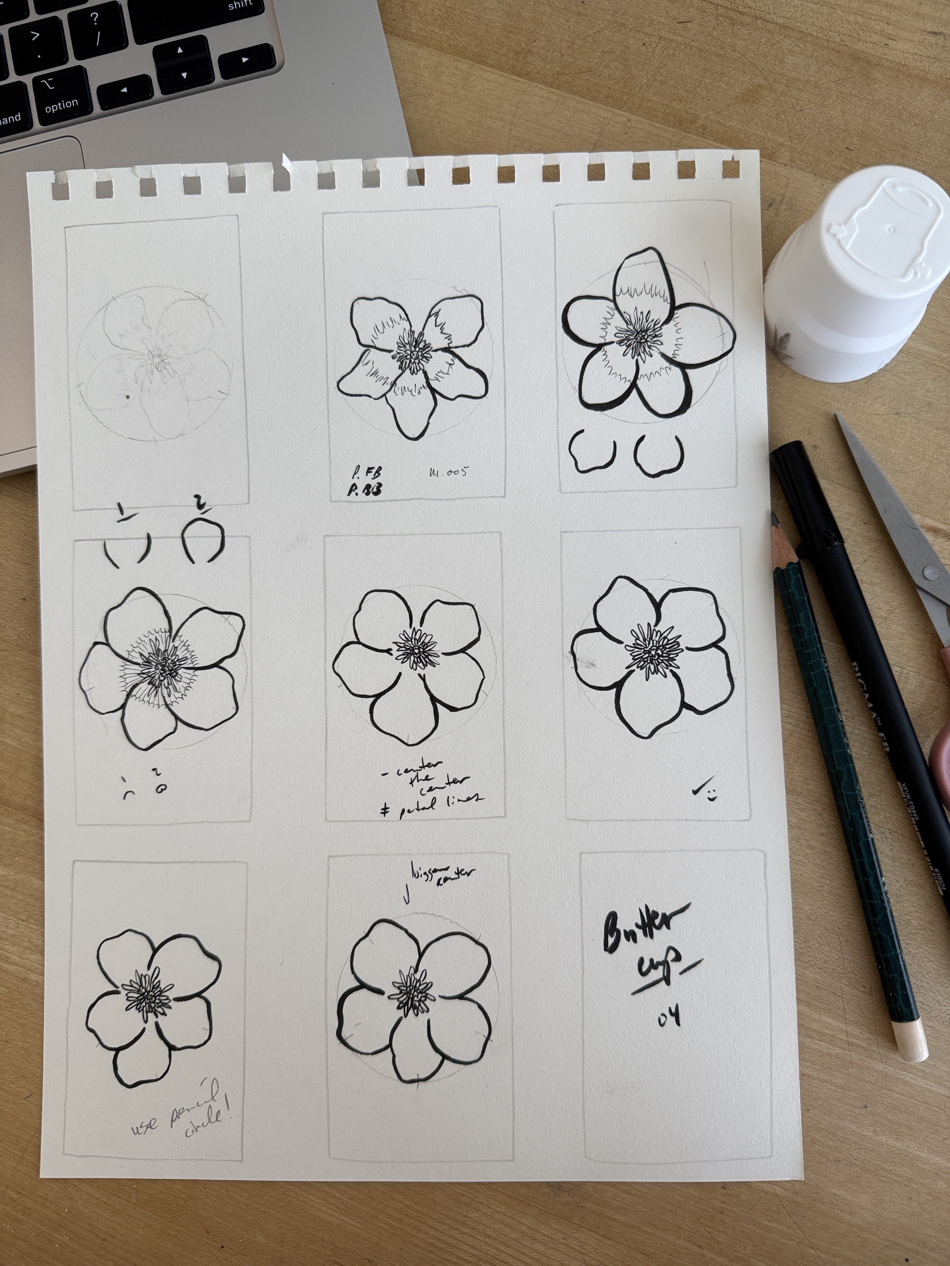 Buttercup practice and flower id flash…