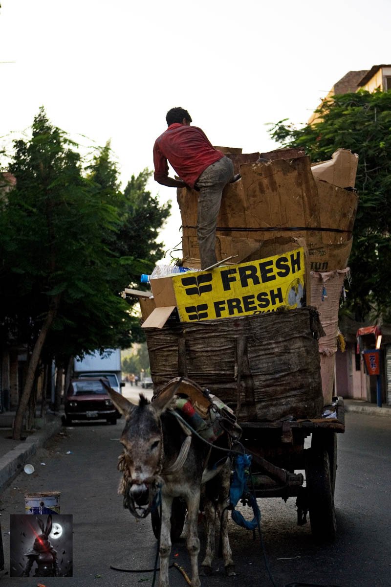 Fresh Trash, Cairo Egypt (2007]