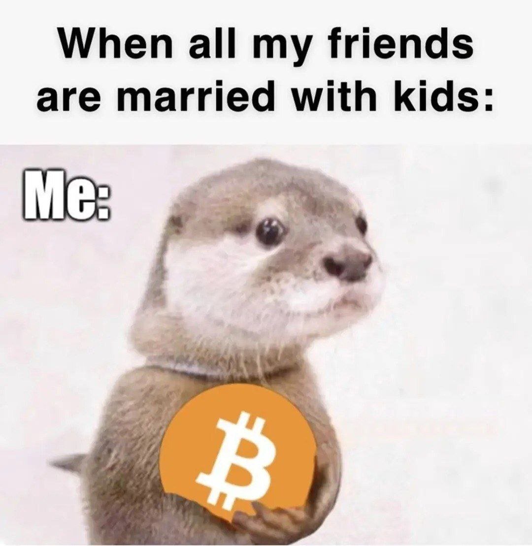 #meme #memes #nostrmemes #bitcoin