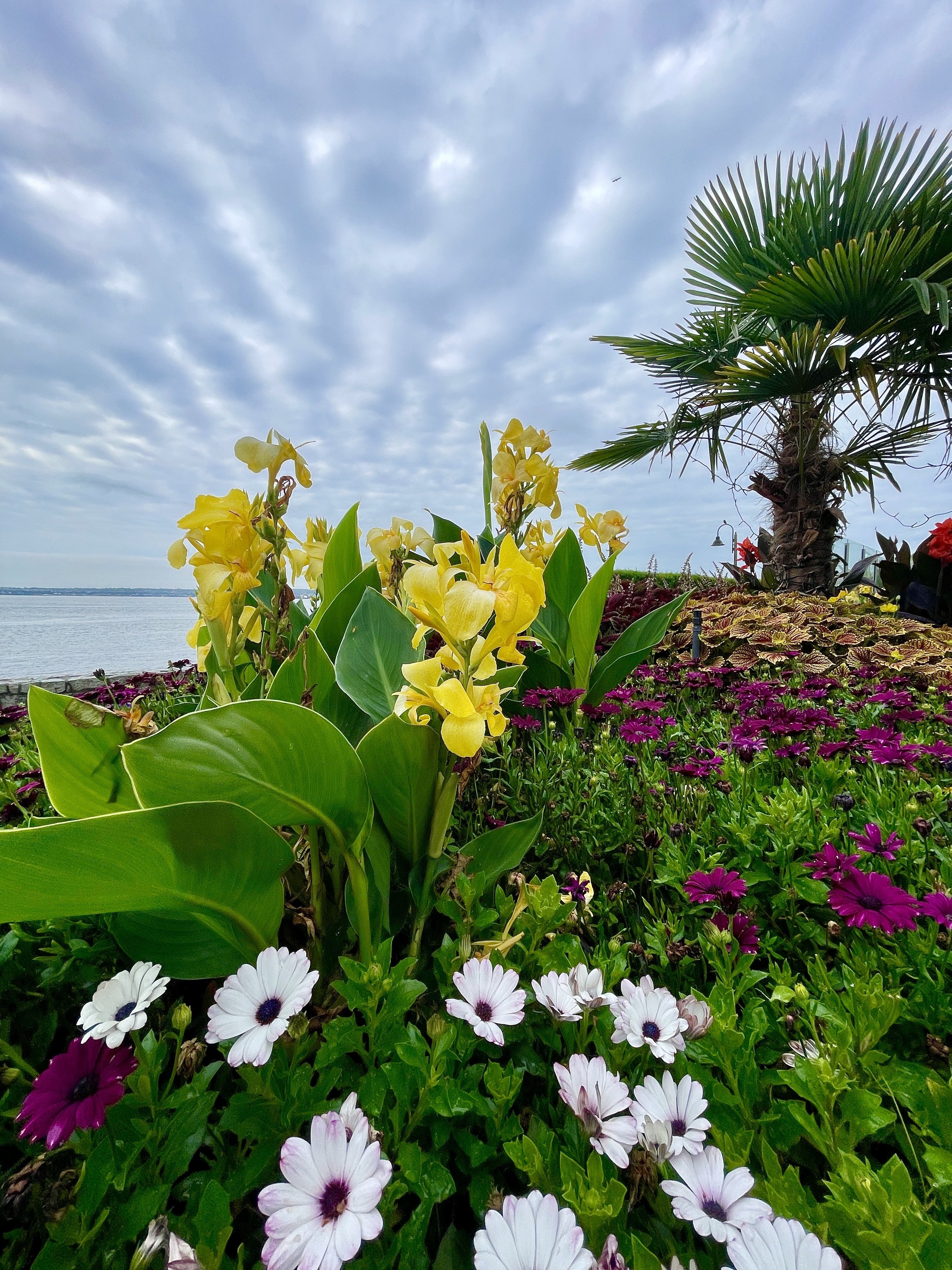 Wanders along the sea wall 🌊…