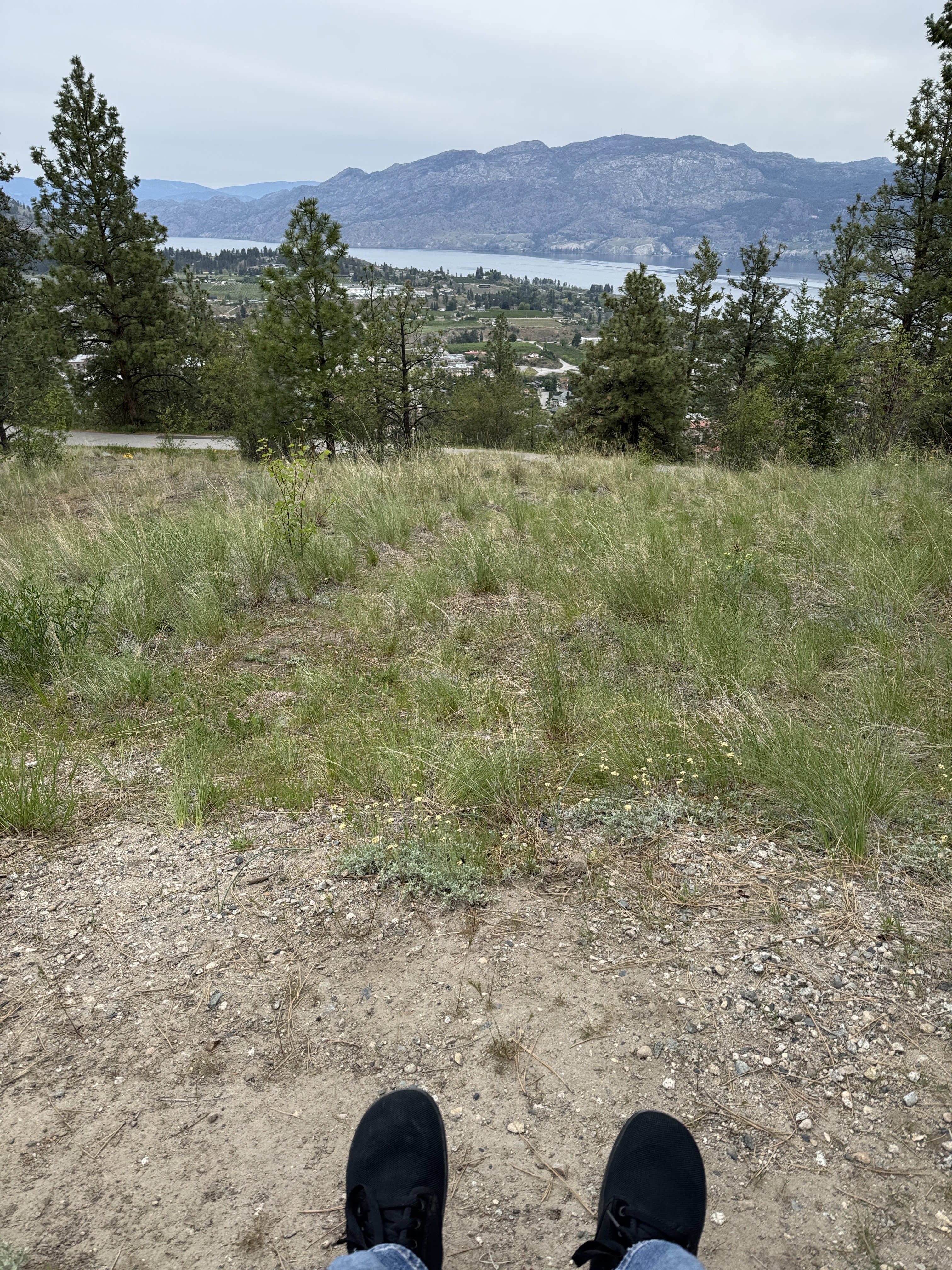 Made it to the second bench…