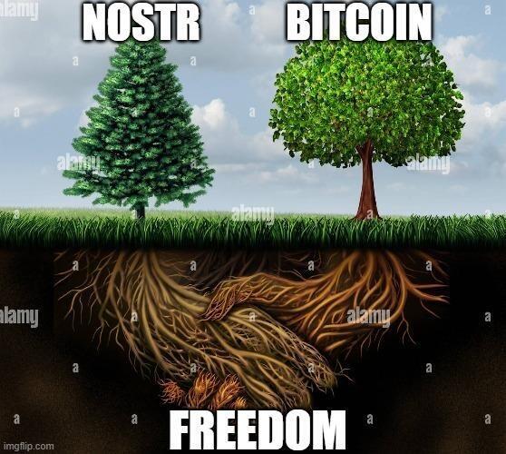 #Bitcoin 🤝 #noster