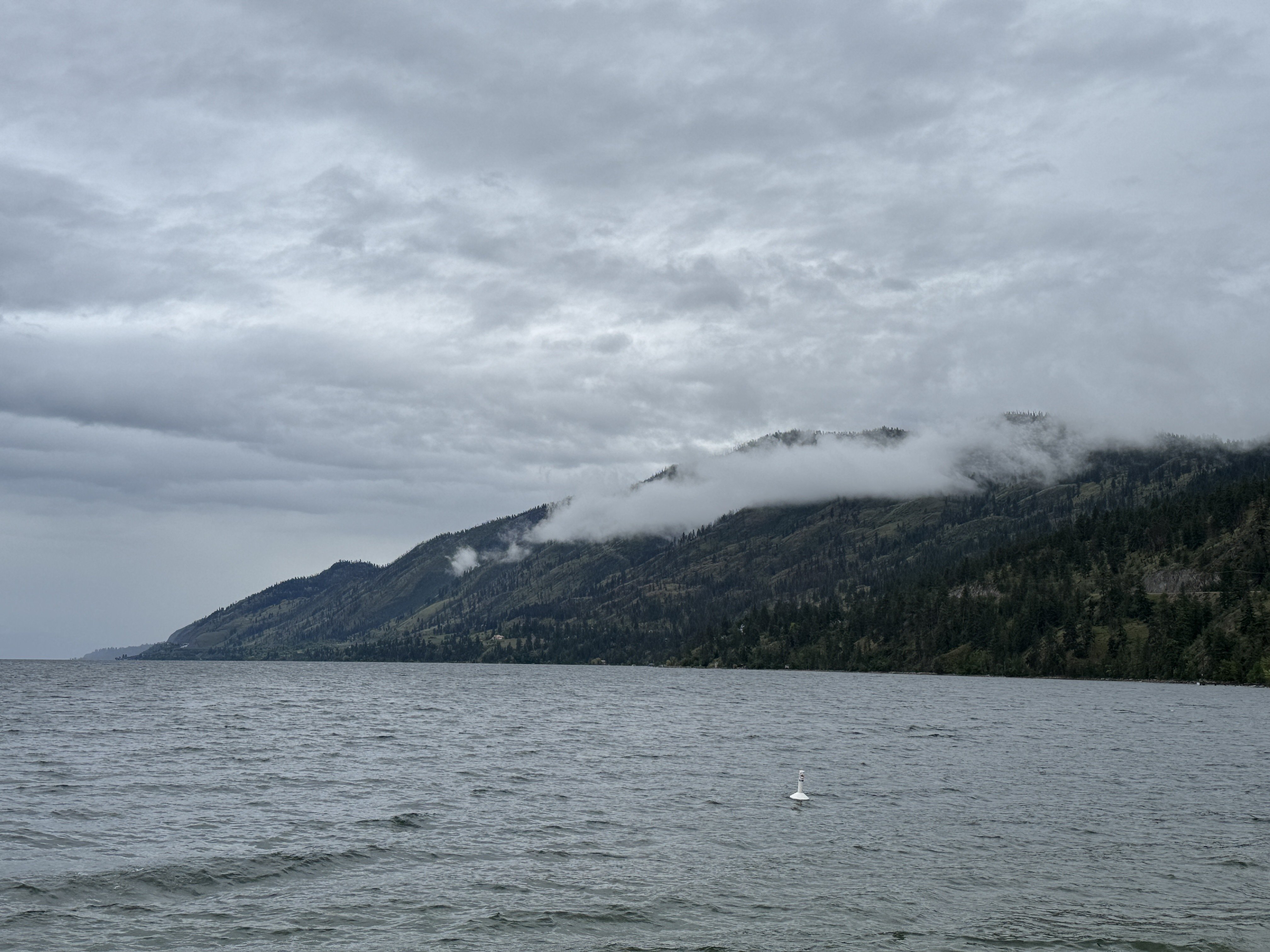 Cold, windy, cloudy day - feels like…