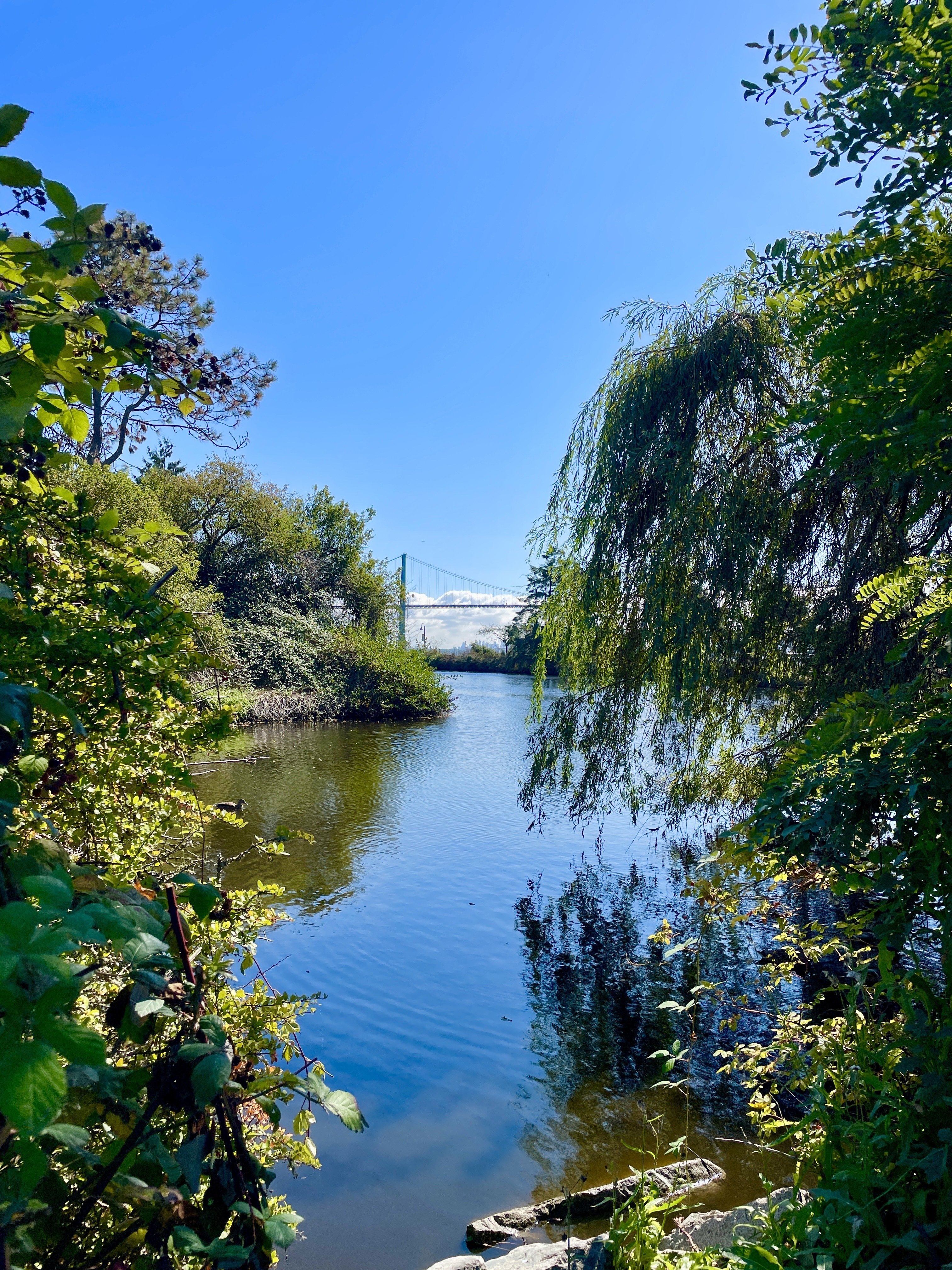 Walk around the pond with me.