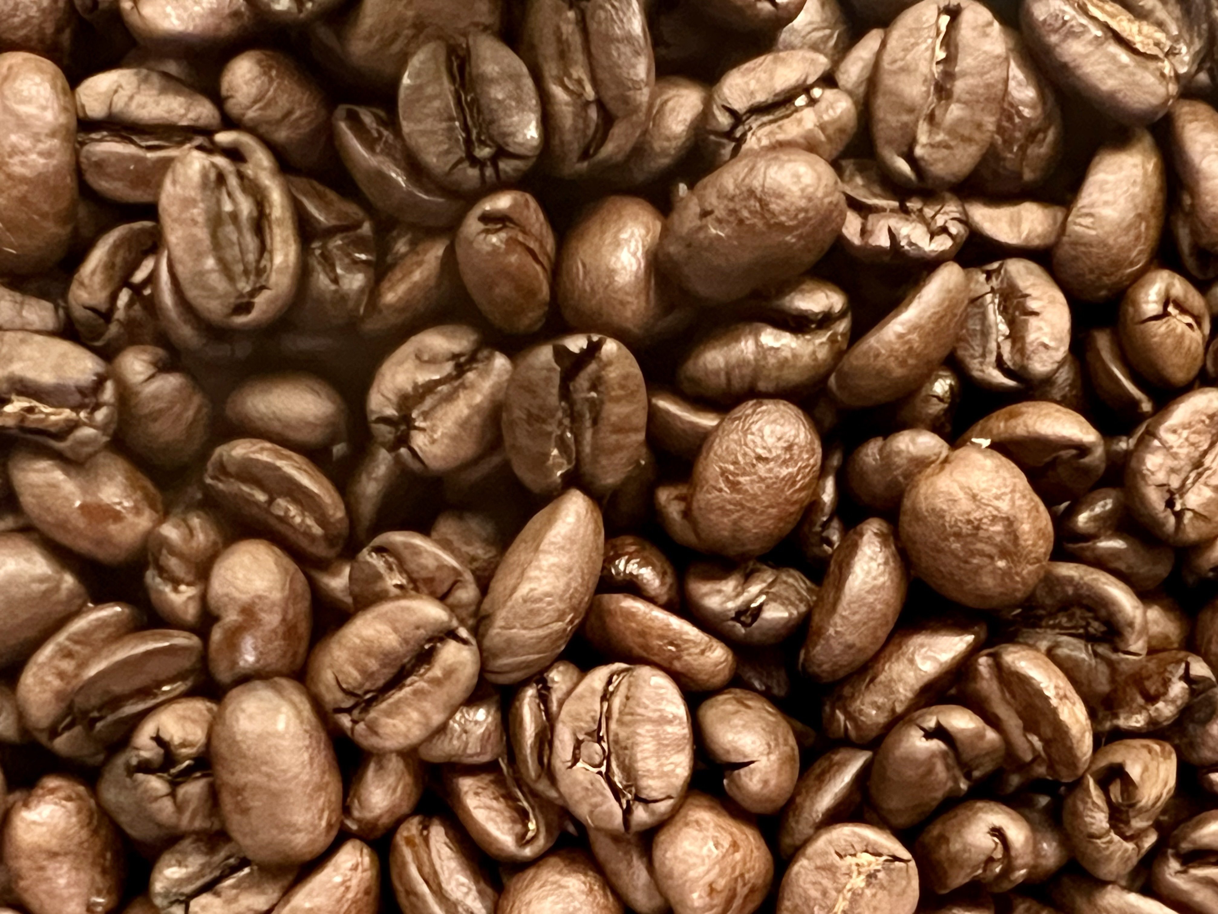 GM ☀️ PV ☕️