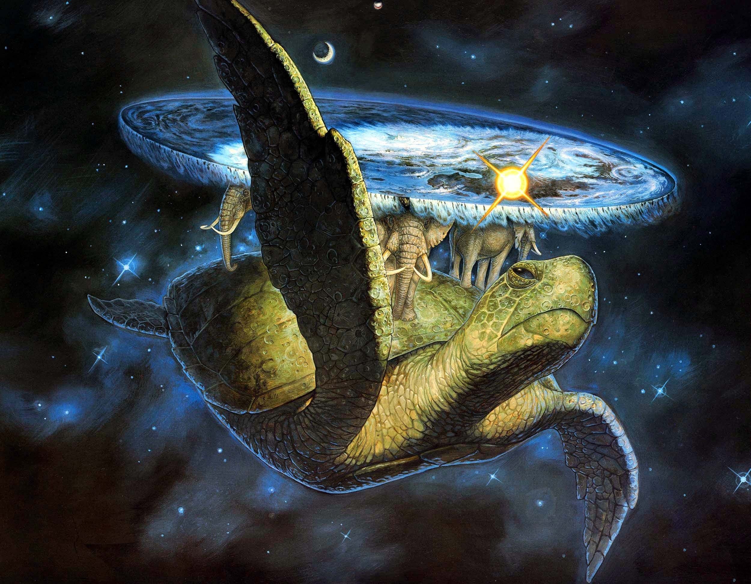 Happy World Turtle Day!!!! 🐢
