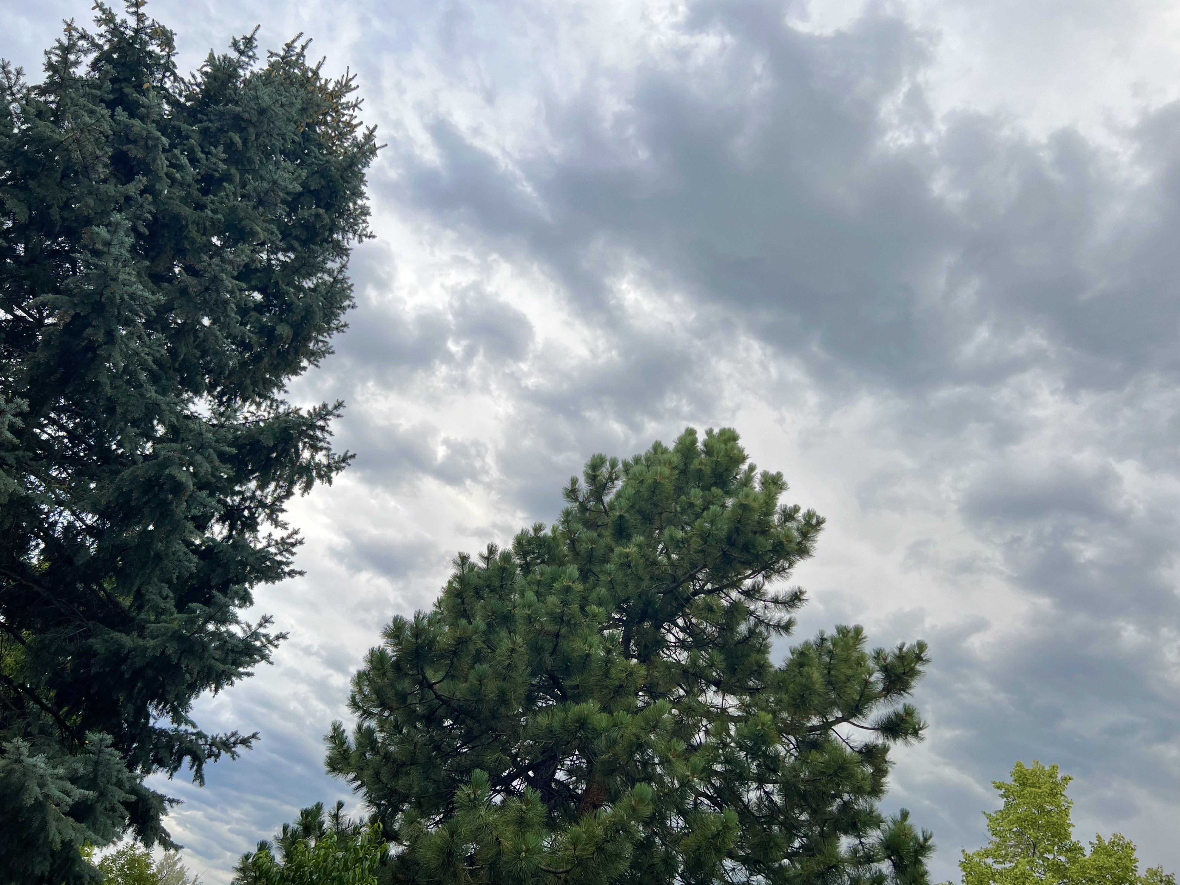 Colorado skies are nice.