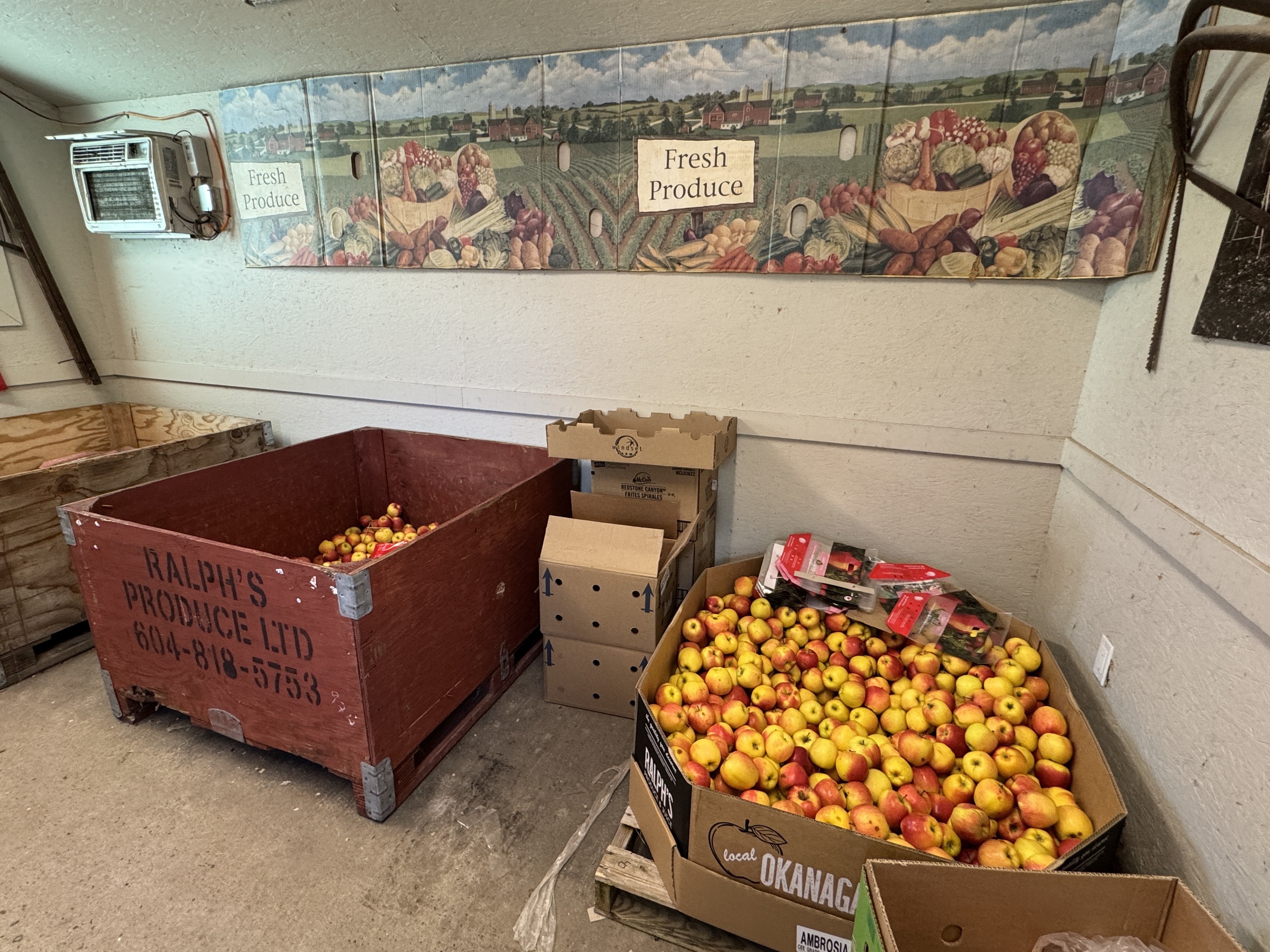 Visited a local apple barn today.…
