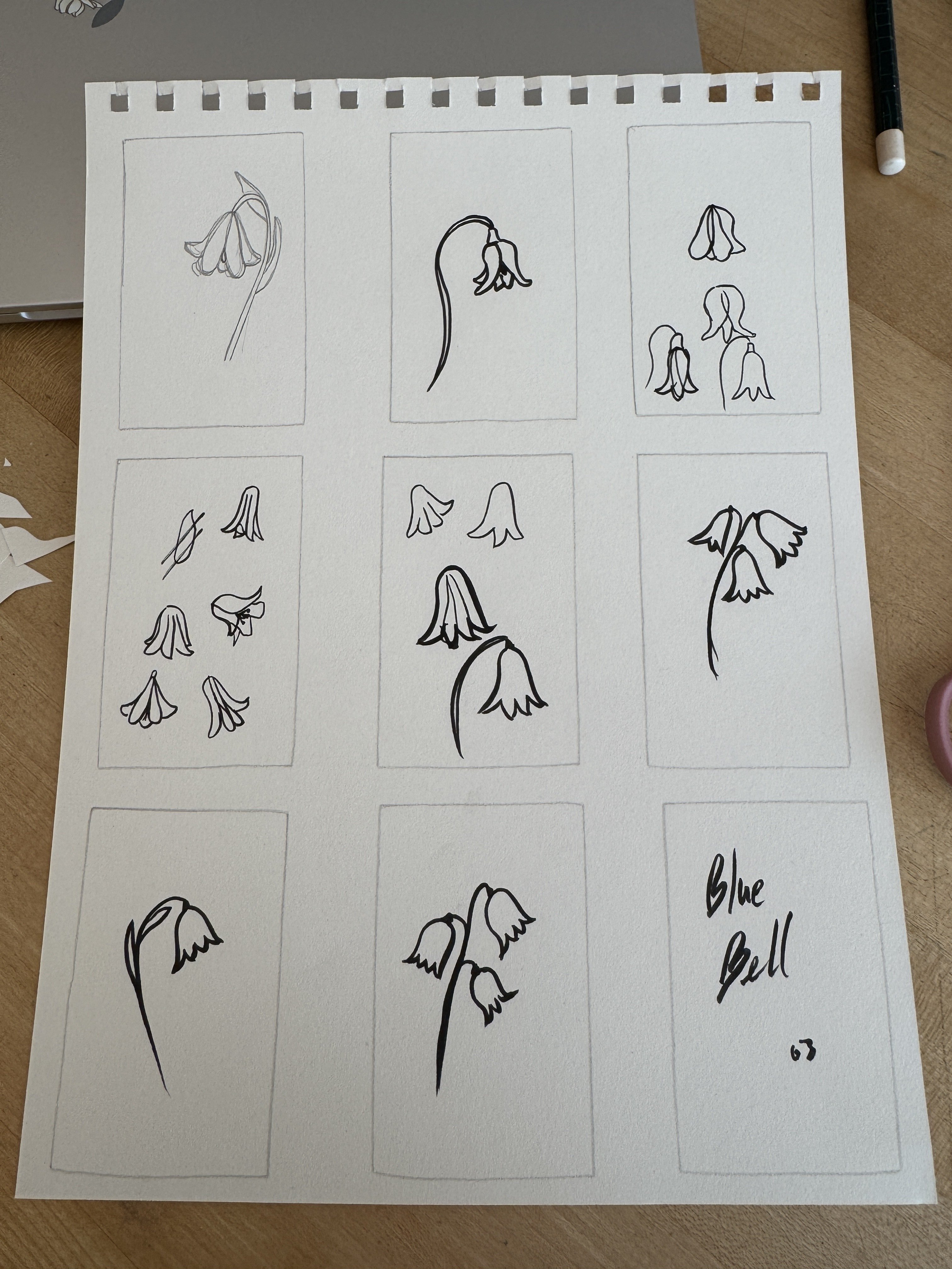 Bluebell flower practice and final flower…