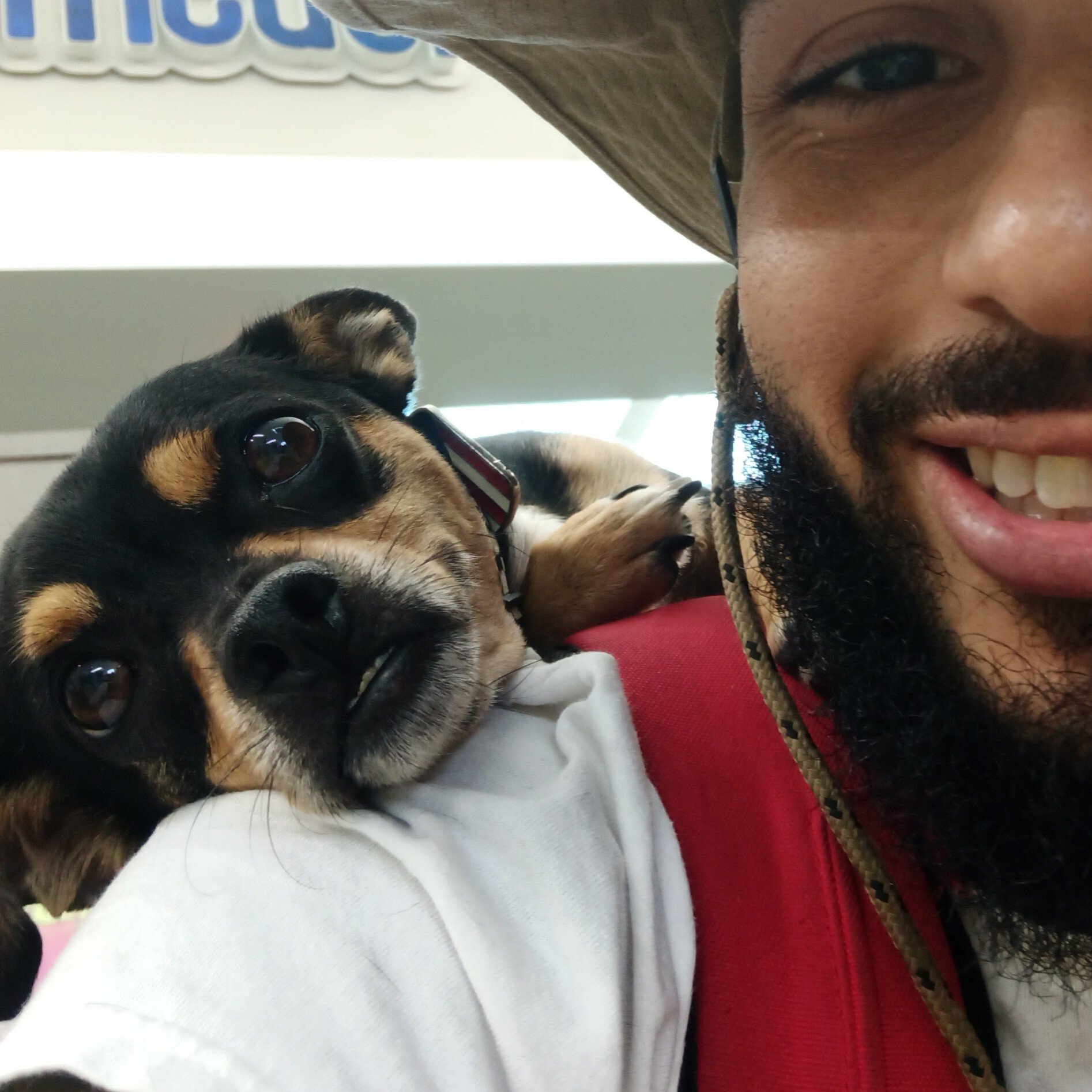 My dog on my back