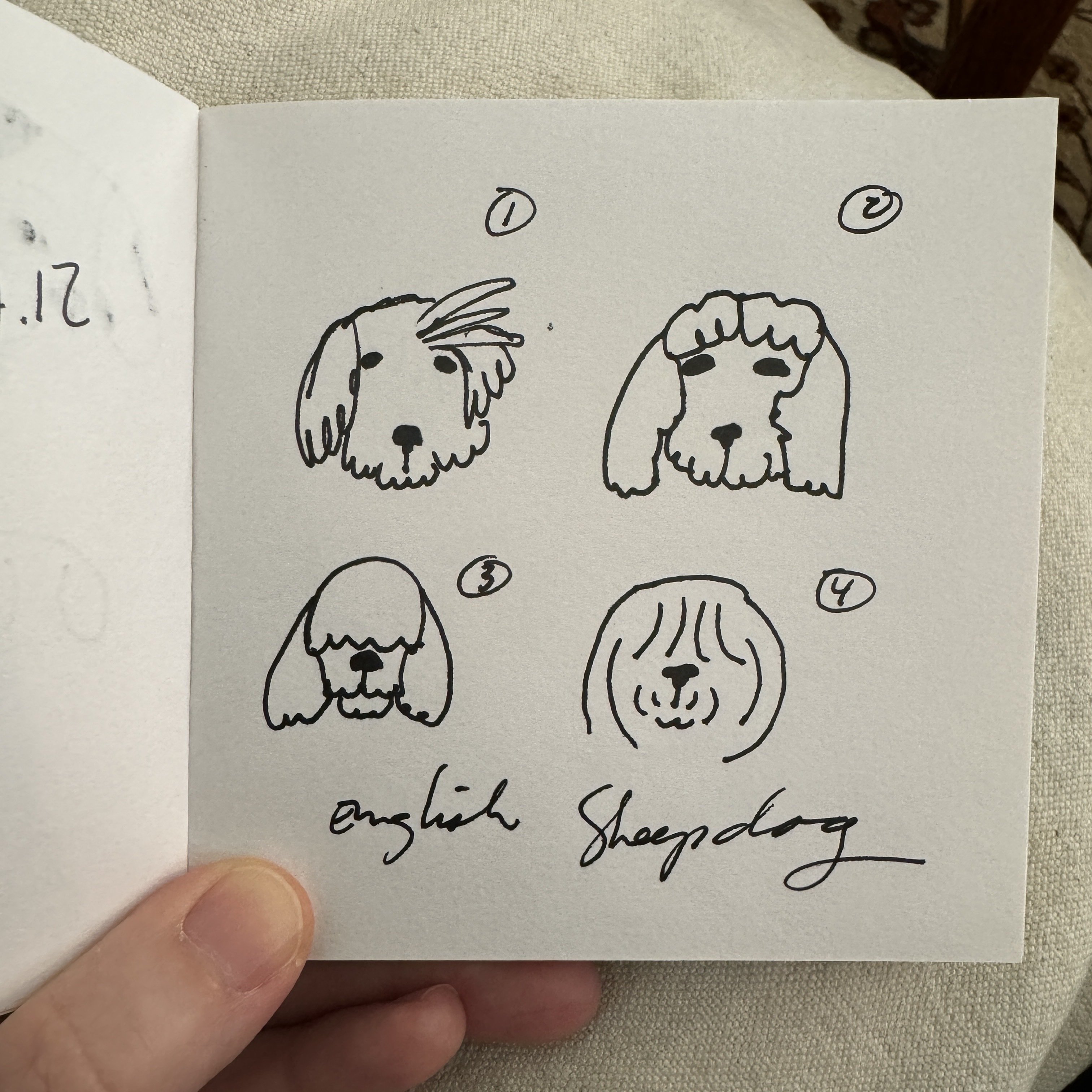 A few hairstyles of English Sheepdogs…