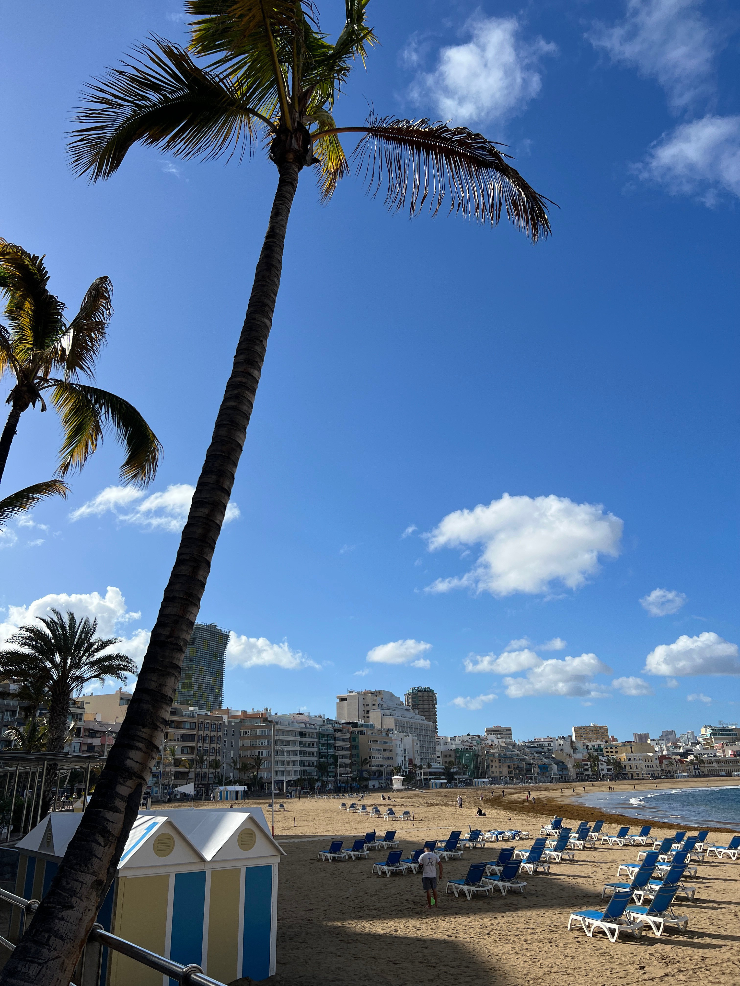 GM ☀️ from Las Palmas de Gran…