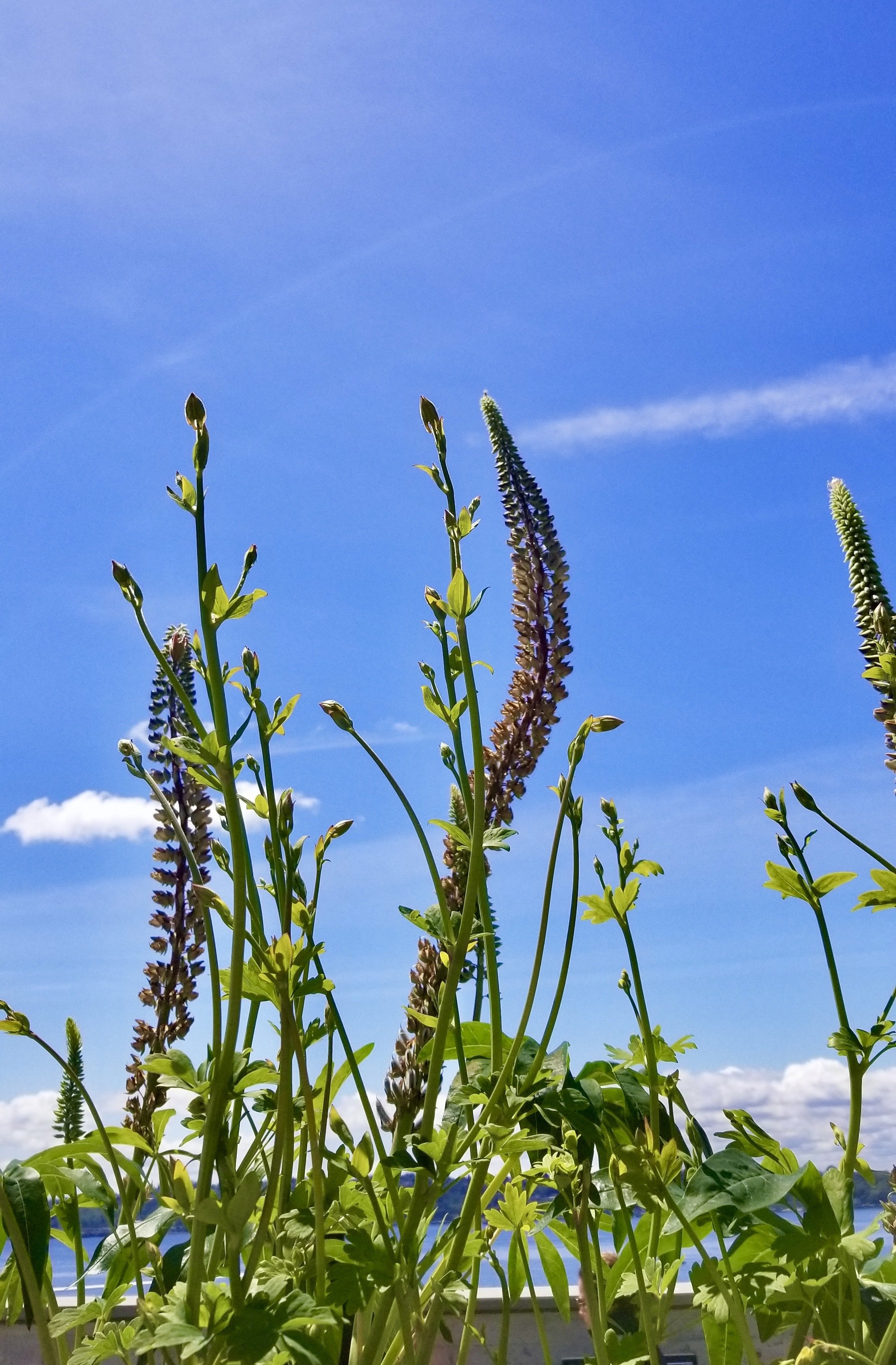 Keep reaching for the sky.