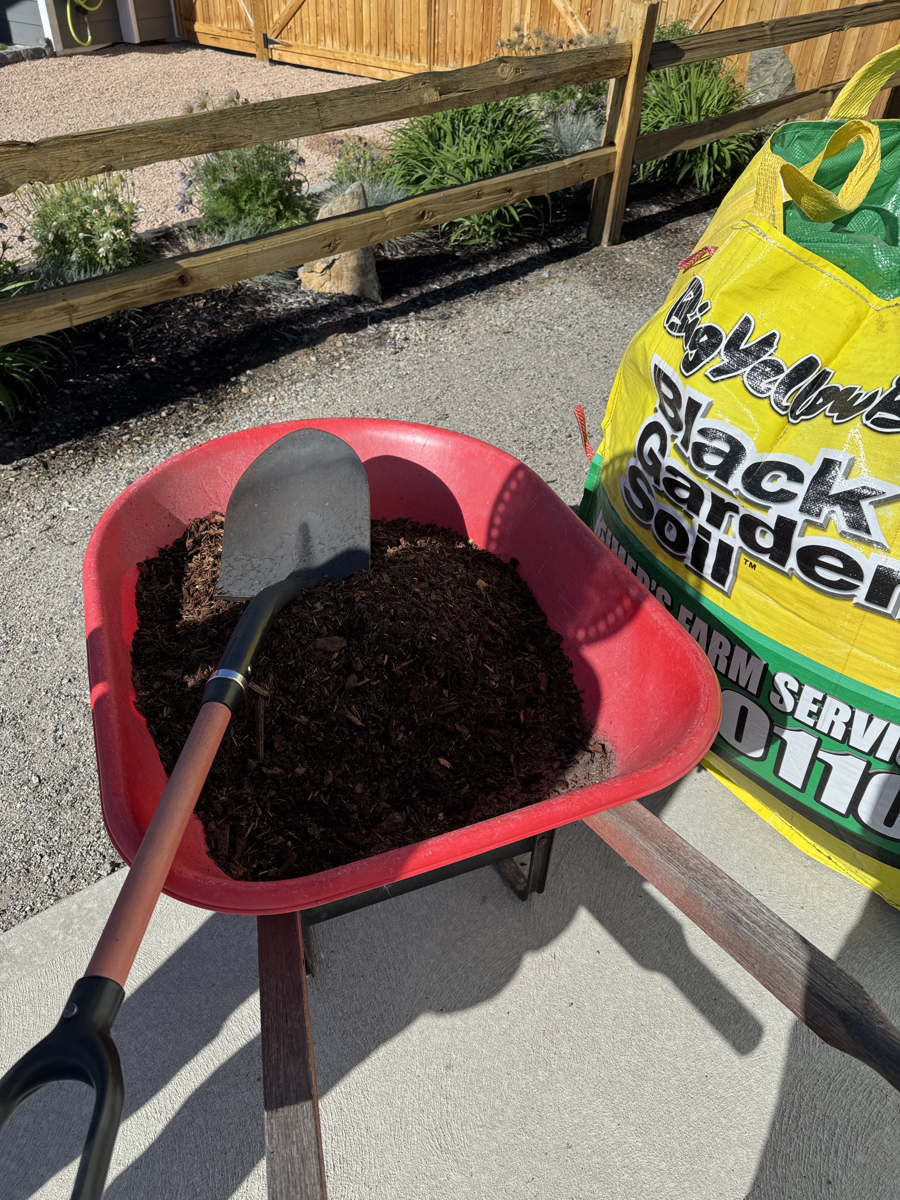Wheelbarrow duty: moving mulch from the…