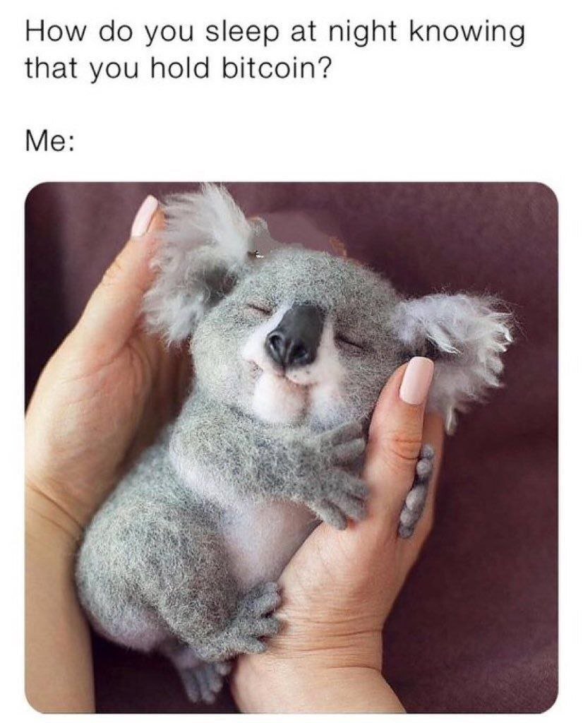 #meme #memes #nostrmemes #bitcoin