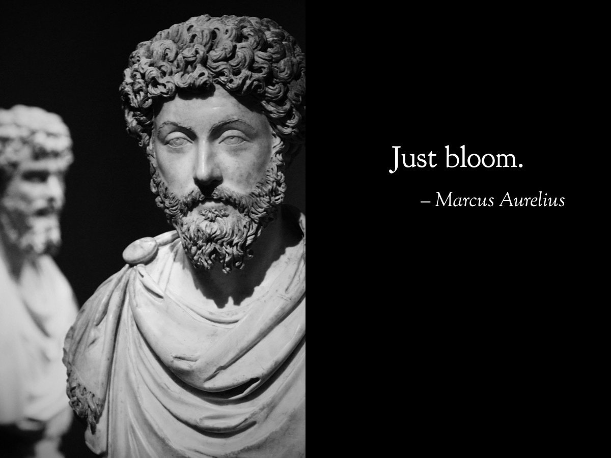 🖼️