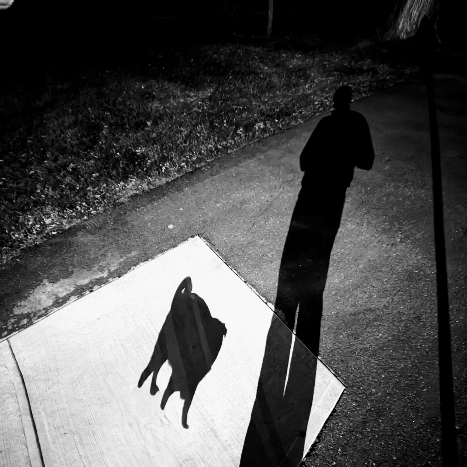 Shadows out for a walk.