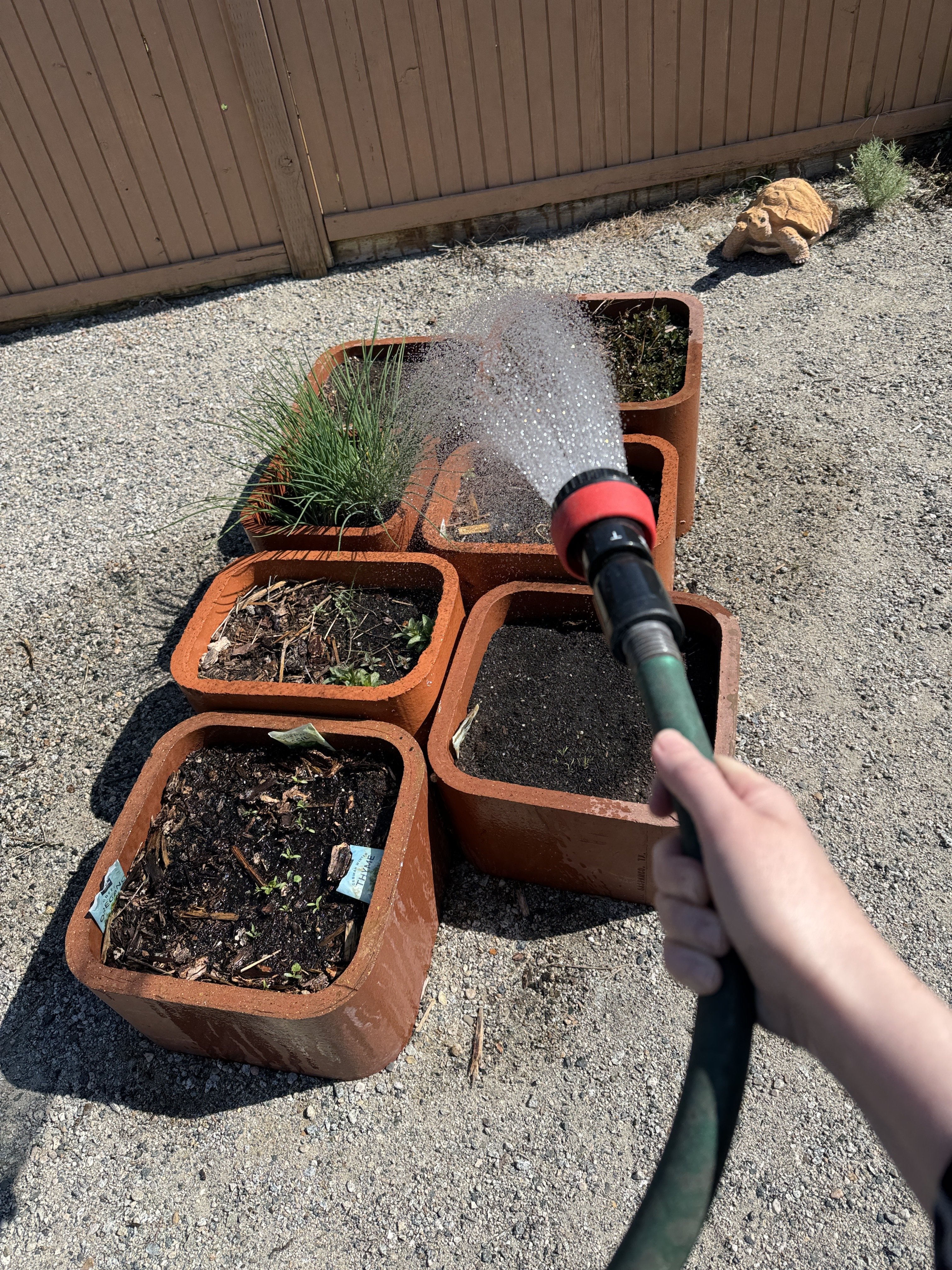 Watering duty today.…