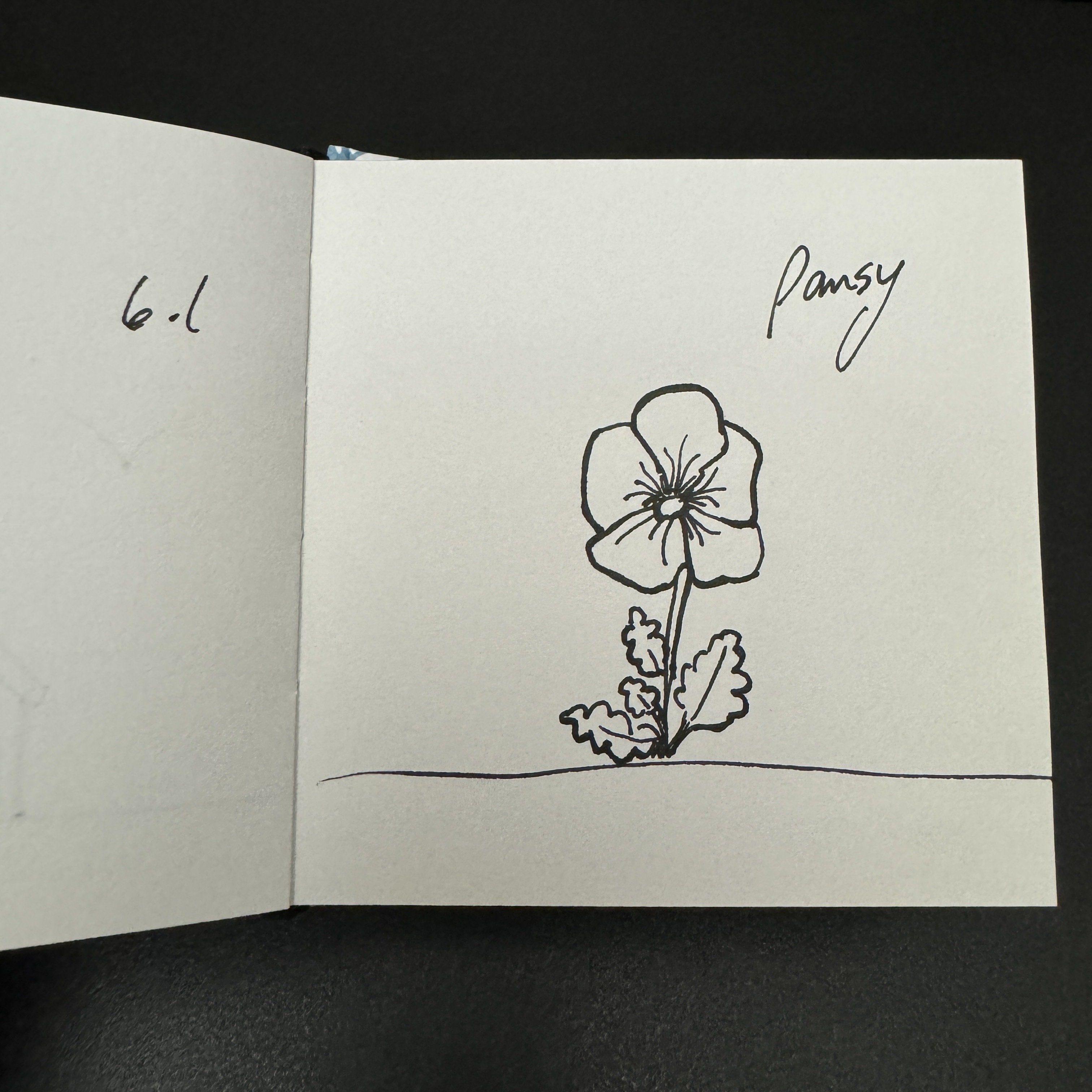 Decided on flowers for my June…