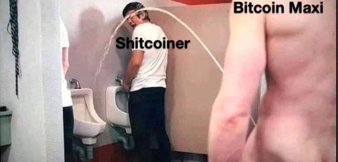 #meme #memes #nostrmemes #bitcoin
