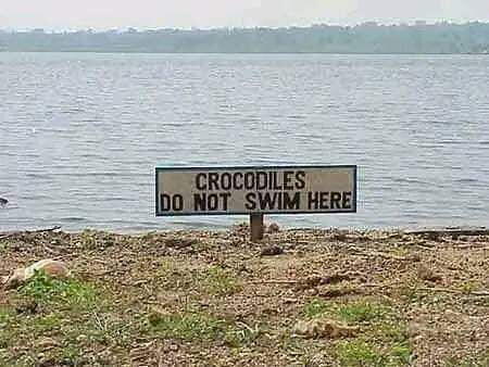 Can crocodiles read English?