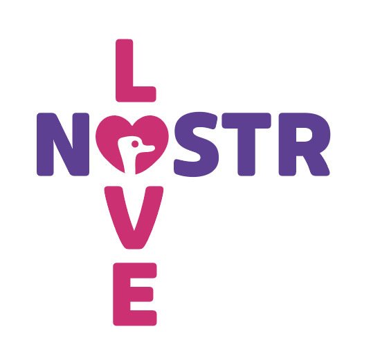 #Nostr 💜