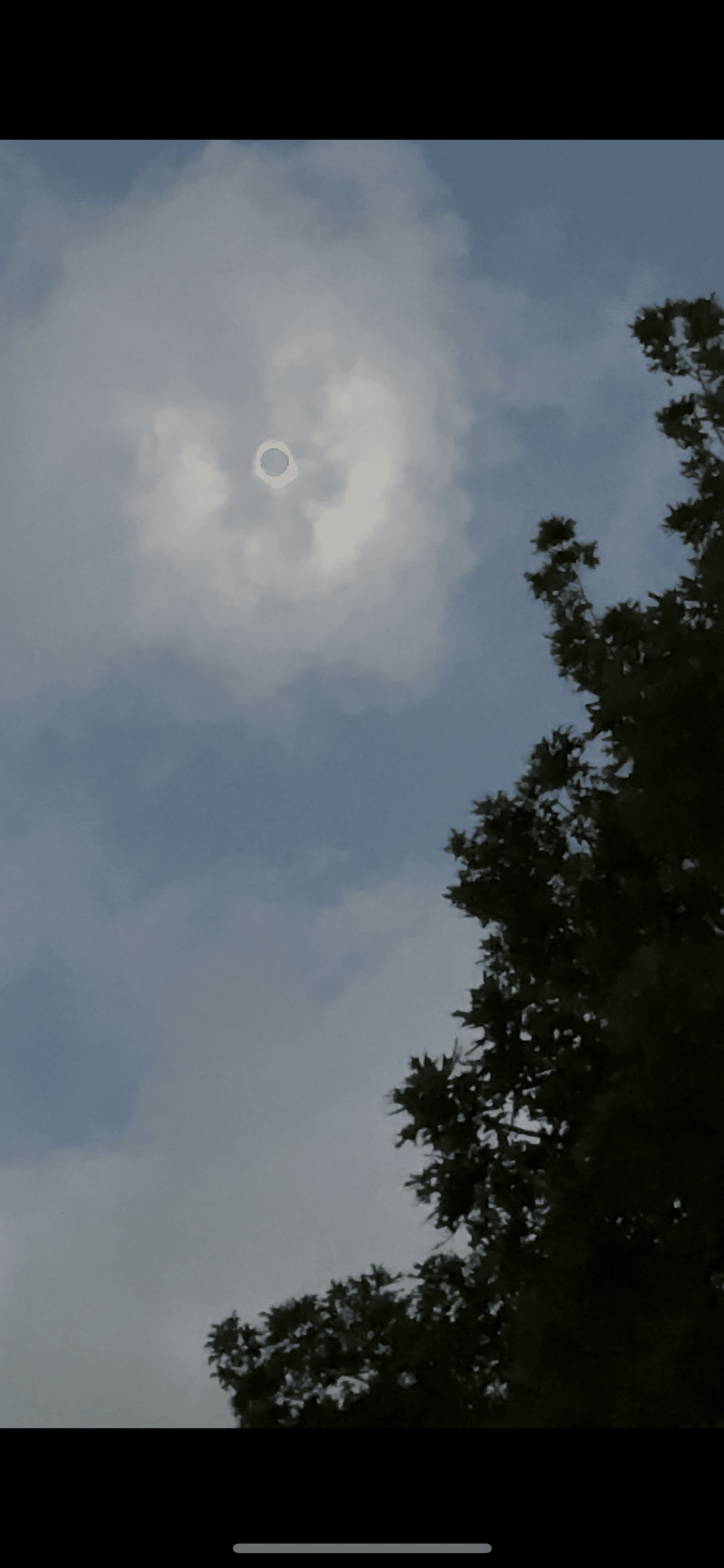 Totality!!!!!  Loved the temperature drop. All…