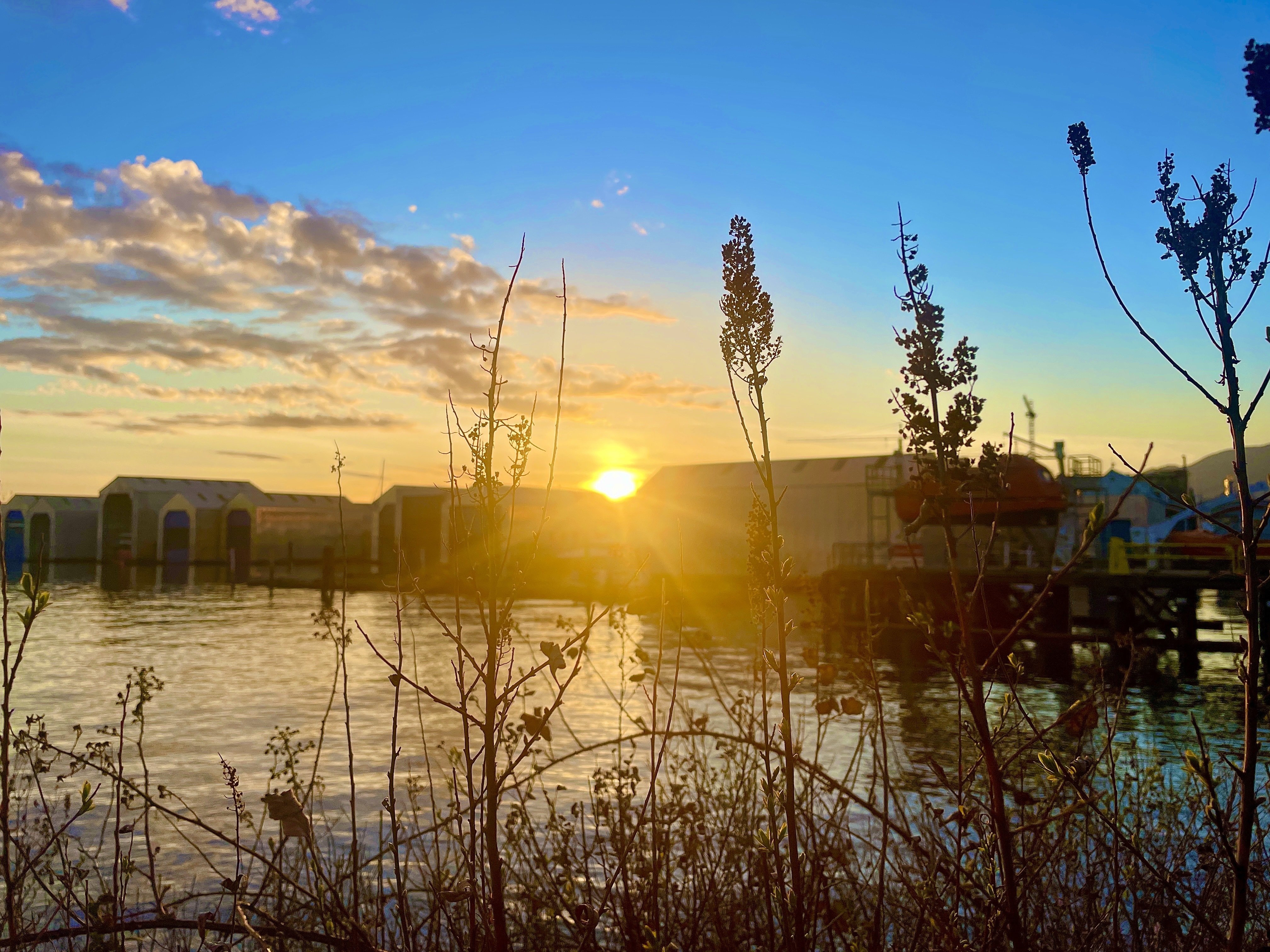 Sunsets by the shipyards 🌅⚓️🚢