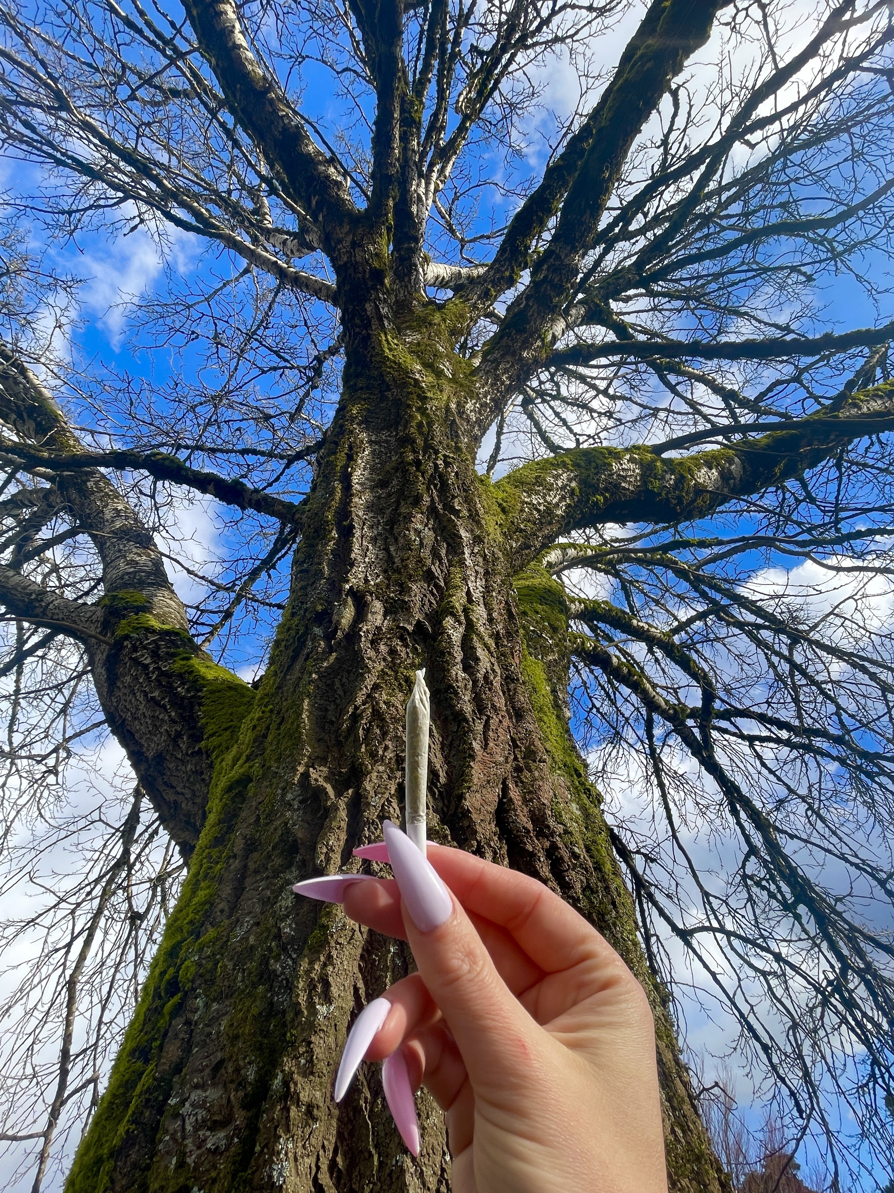 Nature provides 🙏🌲💨💫