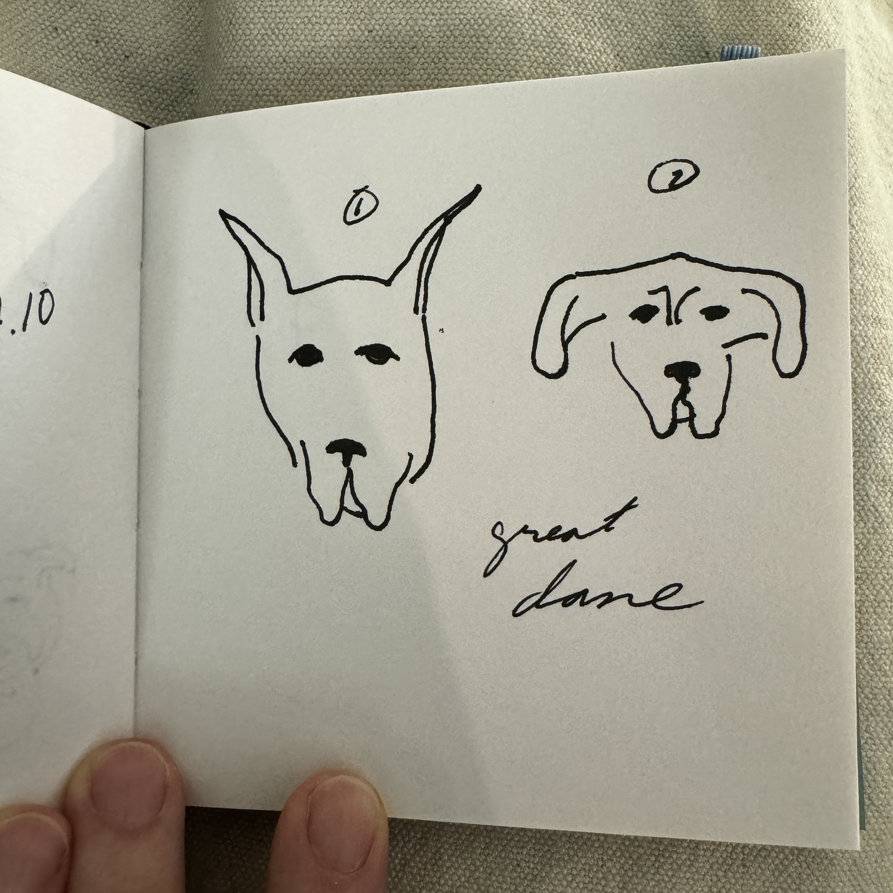 Met a Great Dane on the…