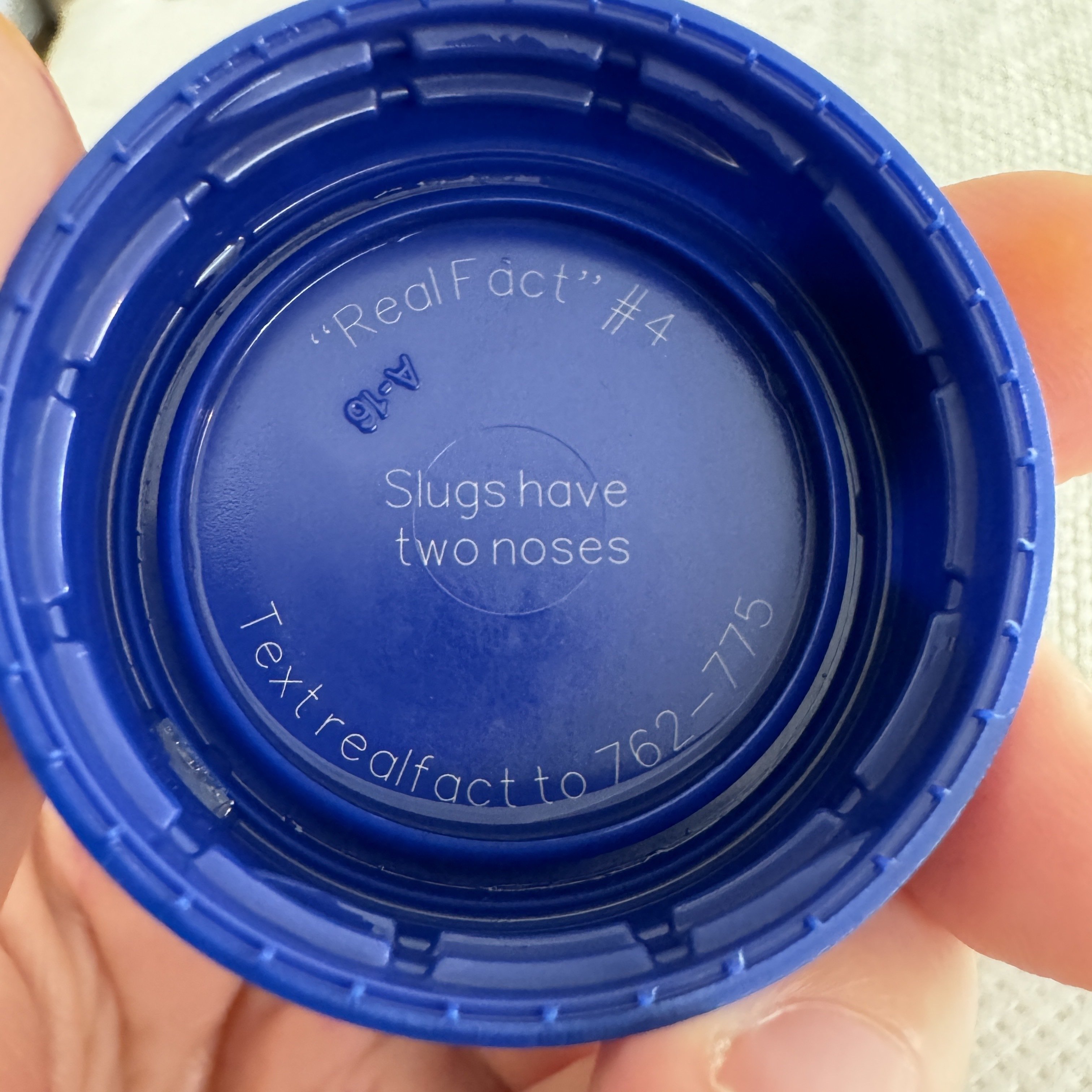 Your Snapple “Real Fact” for today…