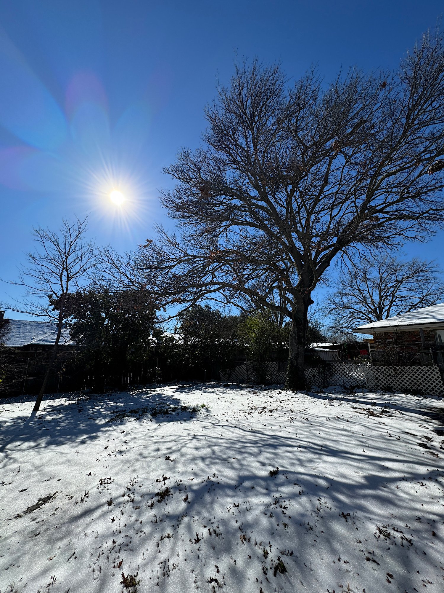 Love tree shadows on snow.…