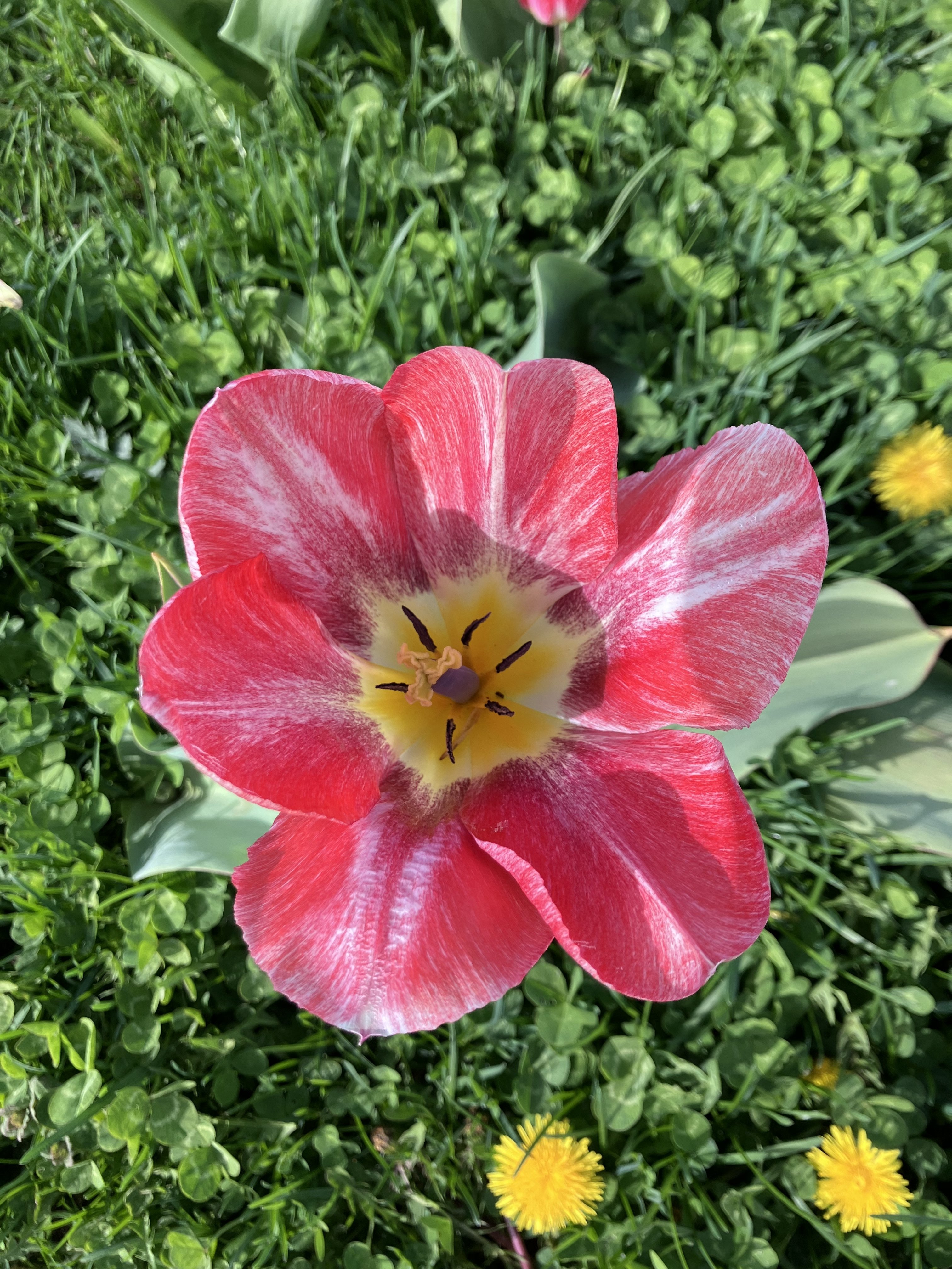 The farm is pressure washed, I…