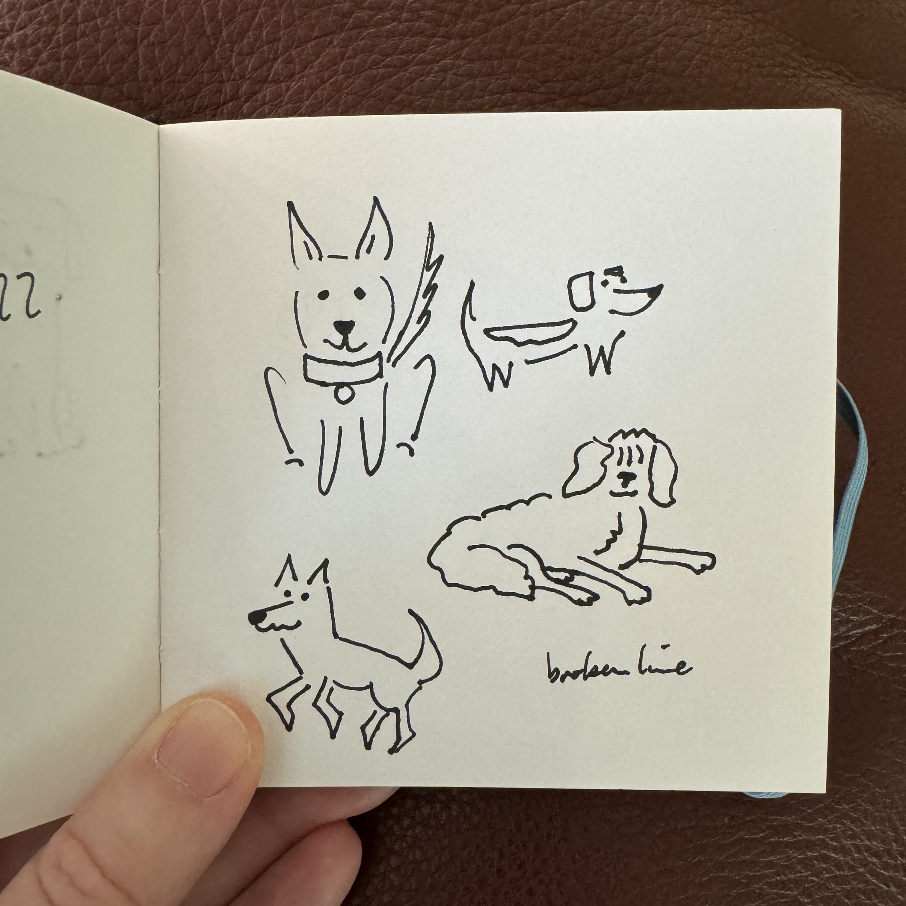 More dog poses, this time trying…