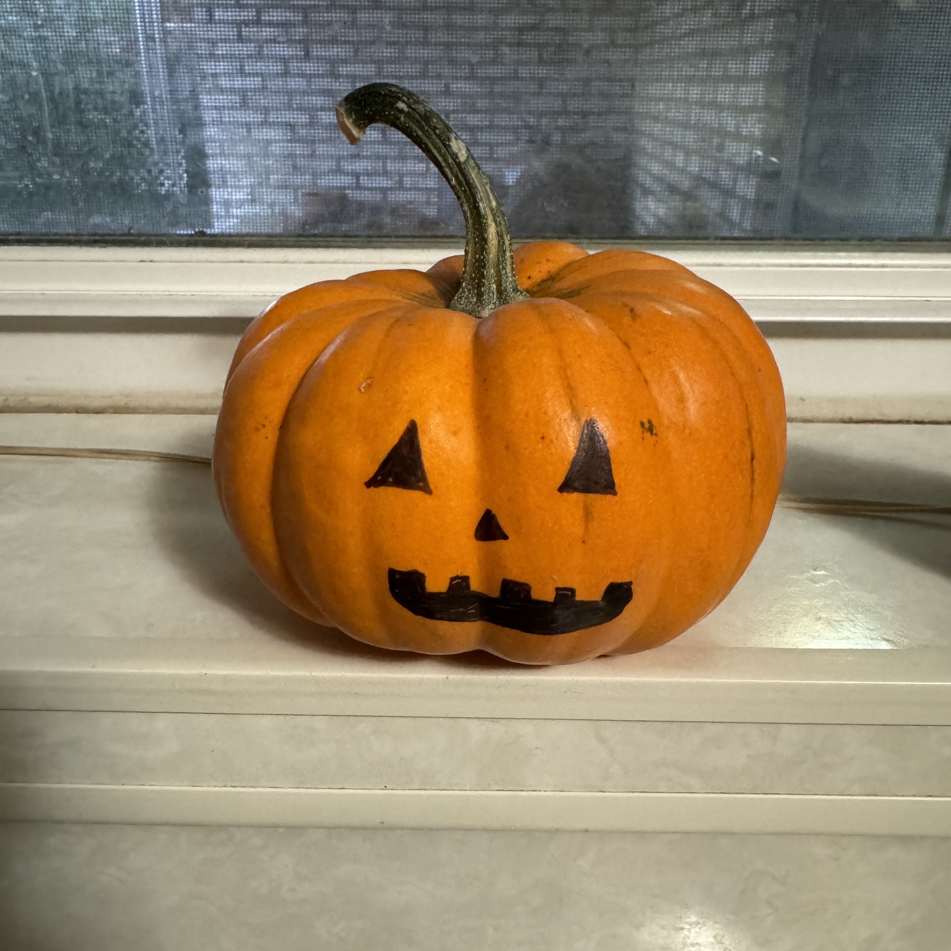 The totality of my Halloween decorations.…